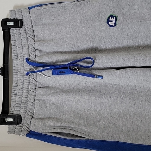 Ader Error Size "Free" Logo Sweatpants, Gray with Blue Stripe. Gently Used Cond. - Picture 2 of 15